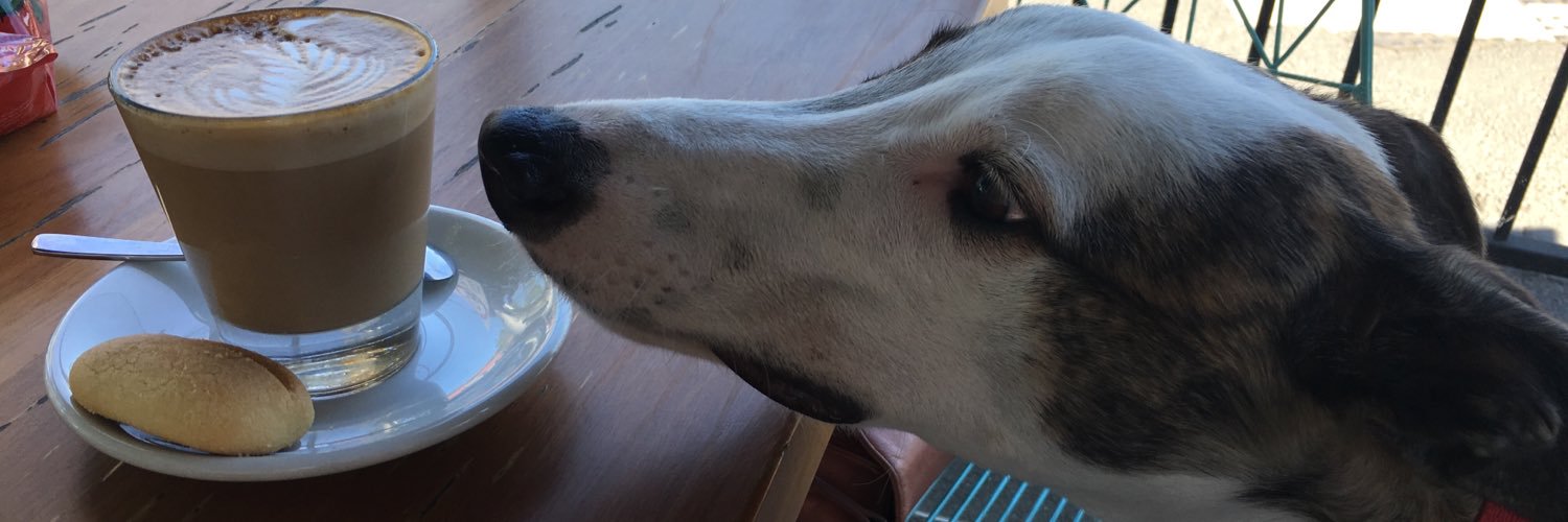 Ronelle Richards banner