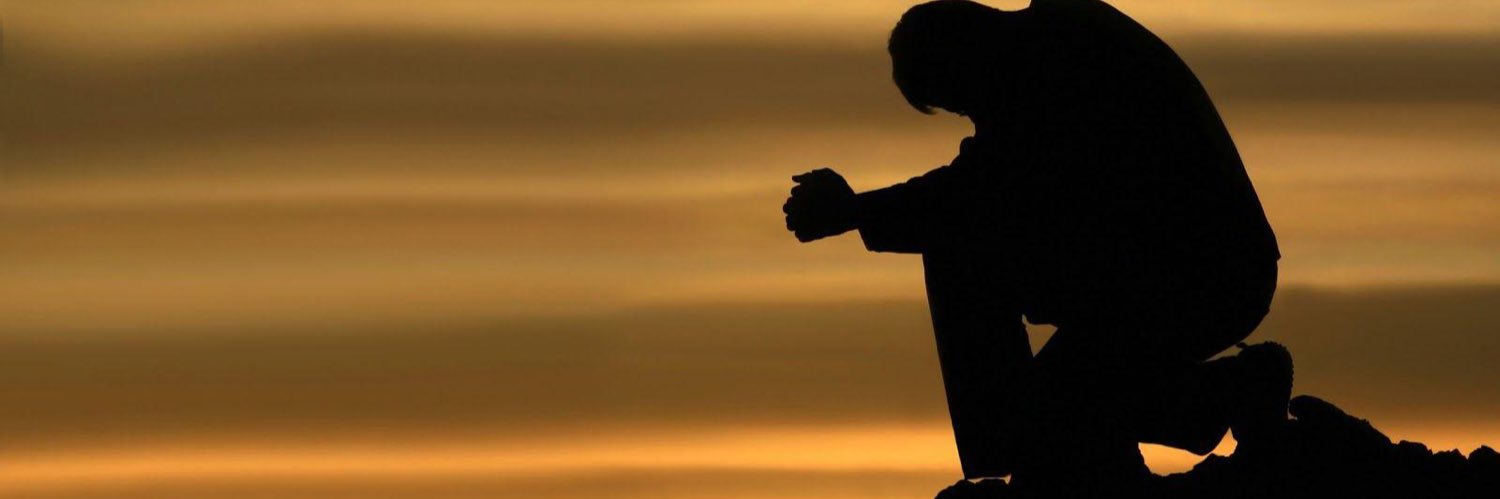 yashree11's profile banner image