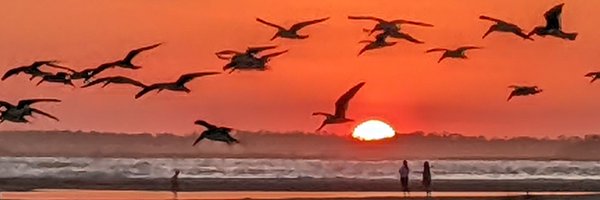 whos_next Profile Banner