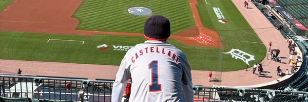 Castellani2014 Profile Banner