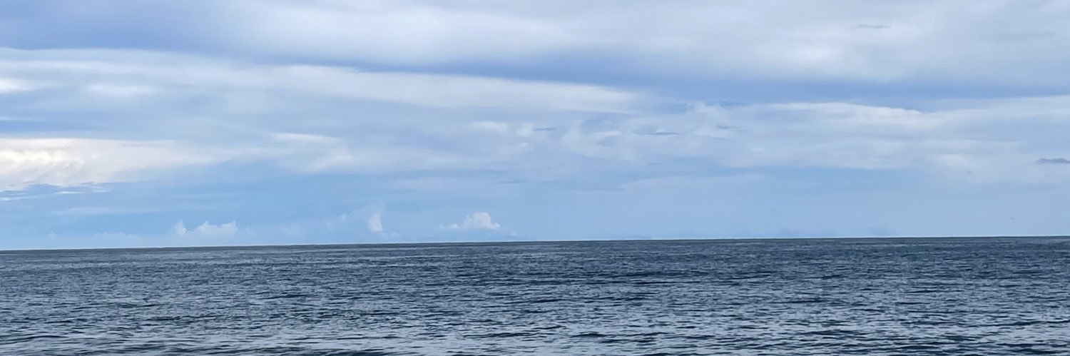eulaaaricardo's profile banner image
