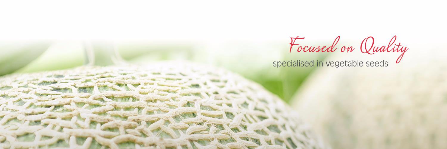 ErgonSeed's profile banner image