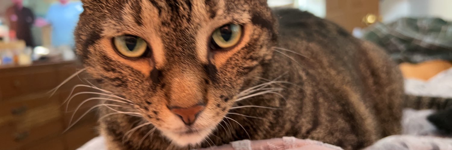 brittnywaterss's profile banner image
