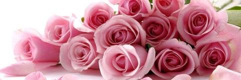 mymidaa's profile banner image