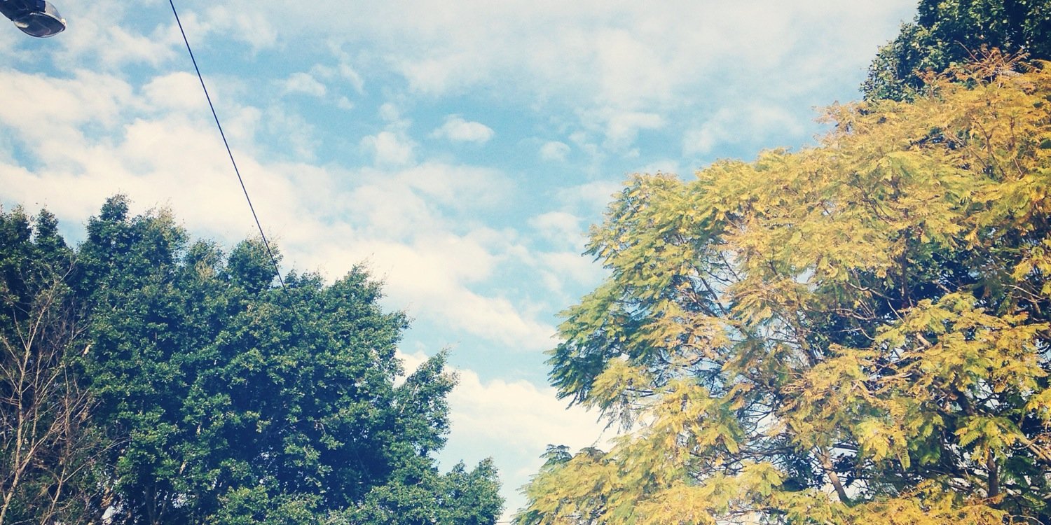 AnnerleyJunc's profile banner image