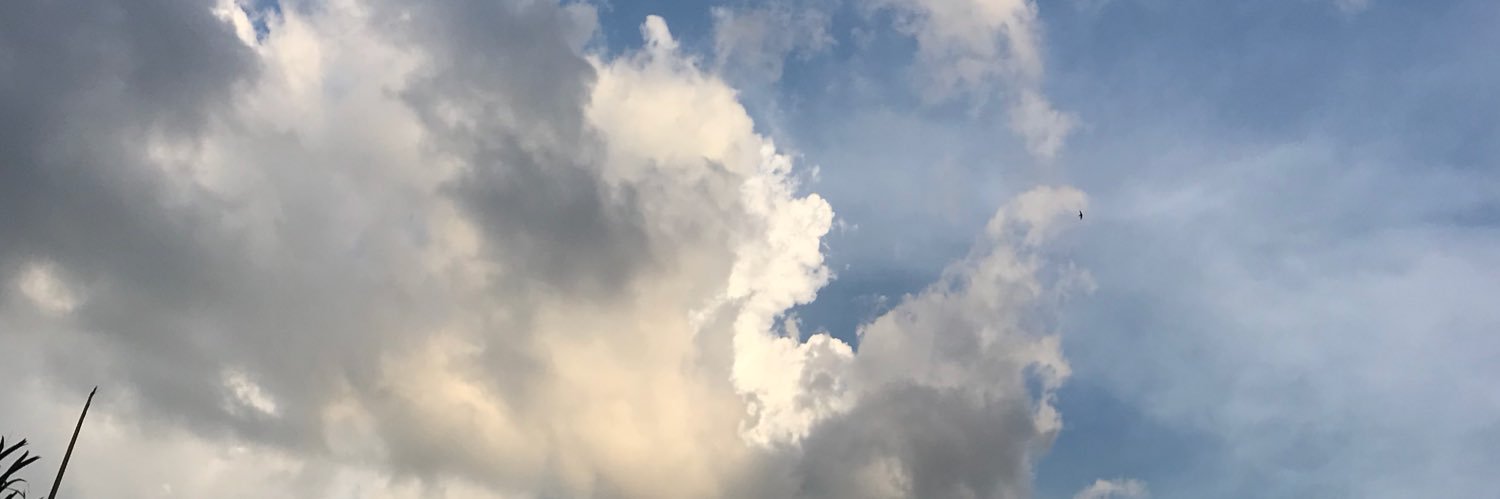Hidnayy's profile banner image