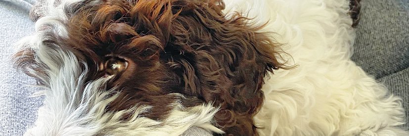 kittykatfarrell's profile banner image
