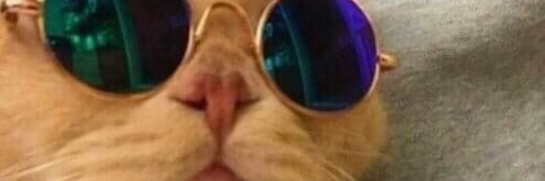 ThisBeCrystal's profile banner image