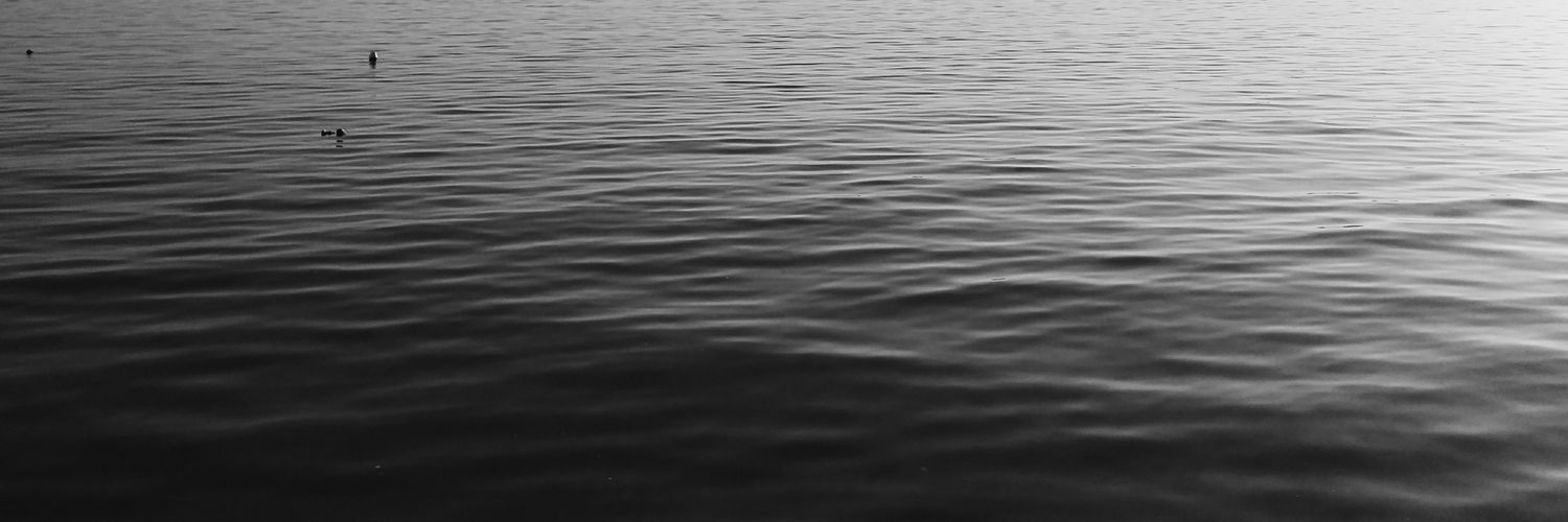 Beeblebroxx1's profile banner image