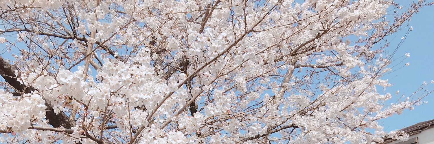 minnn26's profile banner image