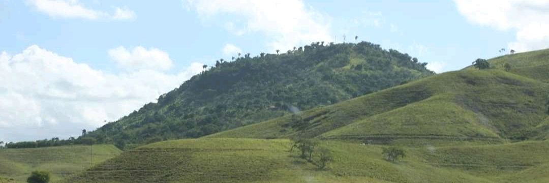 bcmonteiro's profile banner image
