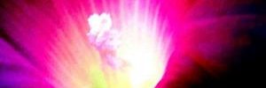 RobertFlaherty2's profile banner image
