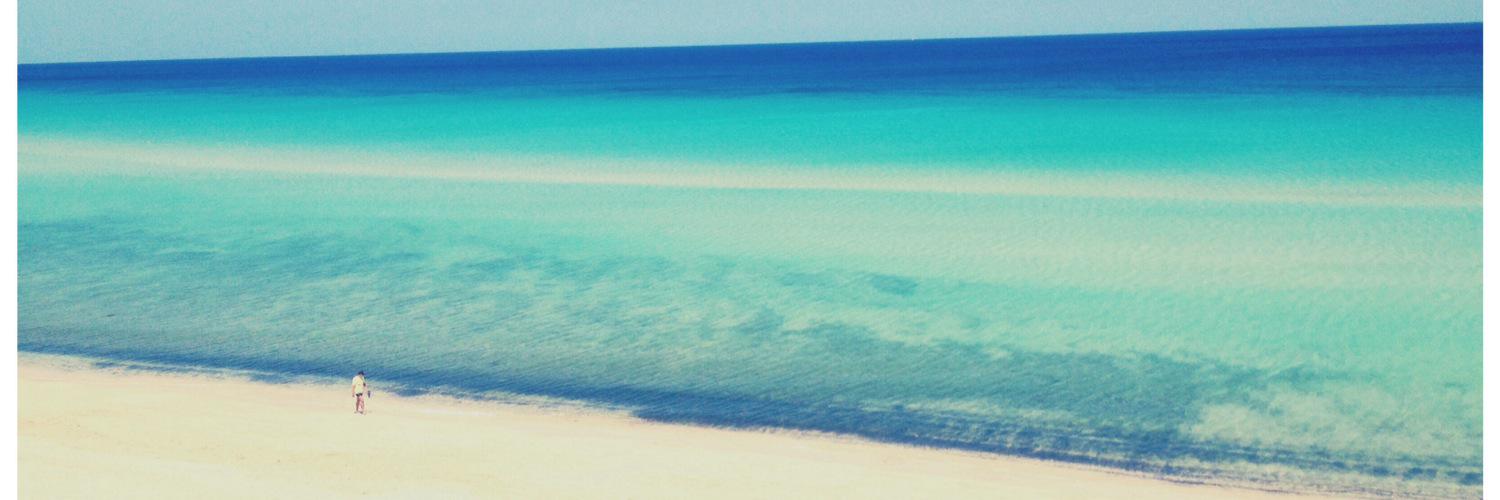 javierinni's profile banner image