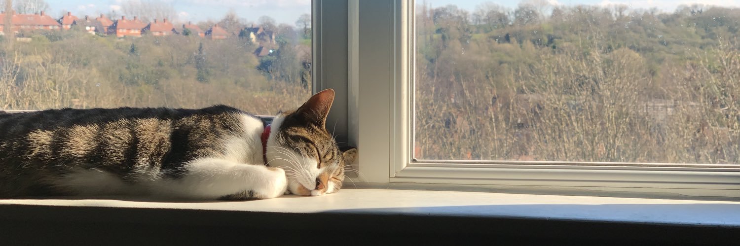 ohree_'s profile banner image