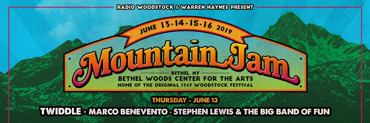 Stephen Lewis banner