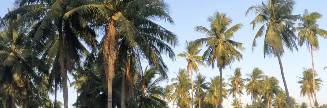 johnMcgil's profile banner image