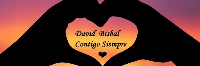 bisbitachile (@ngie)💙🇨🇱 banner