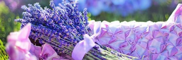 GhaniAlnfs's profile banner image