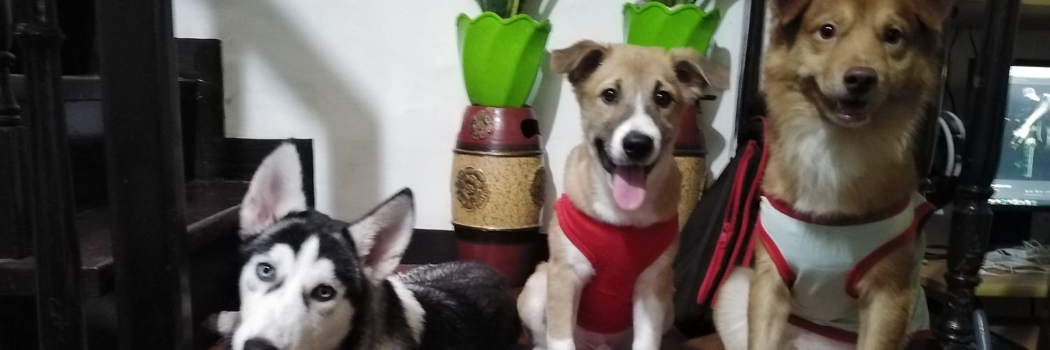 _kiyaaaaam's profile banner image