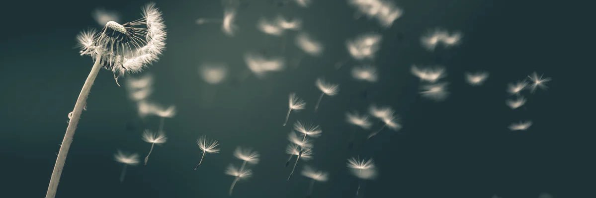 reginalagayaaa's profile banner image