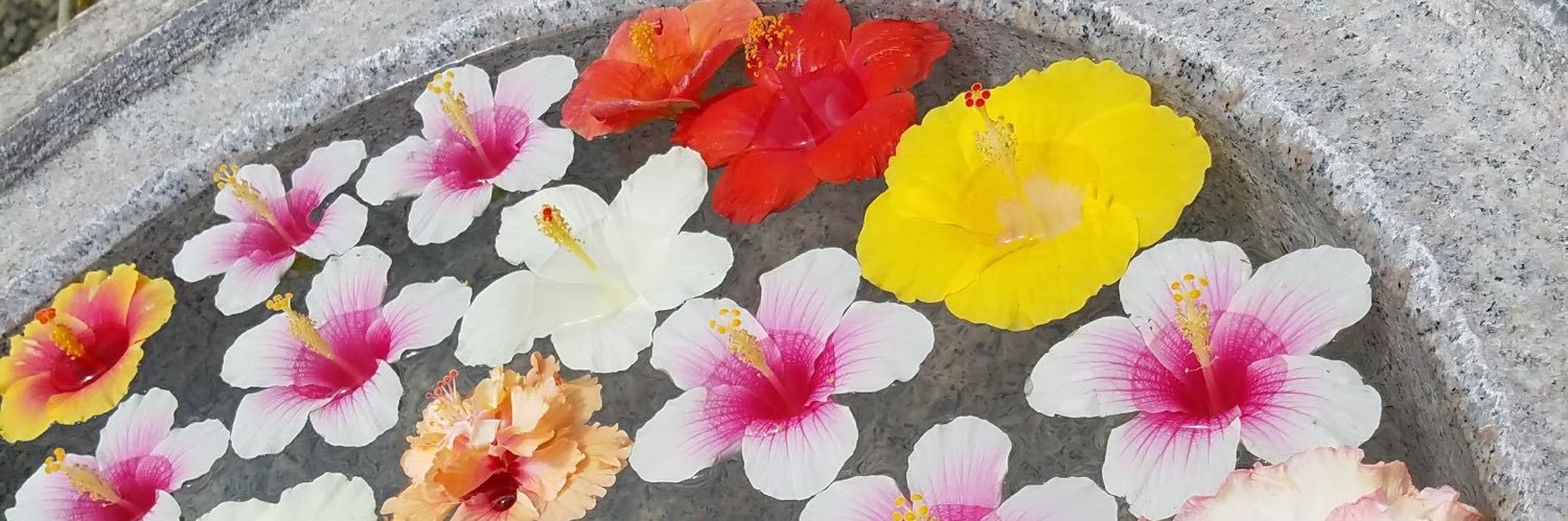uspen_onmi's profile banner image