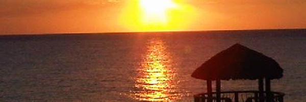 JaniceAnsine Profile Banner