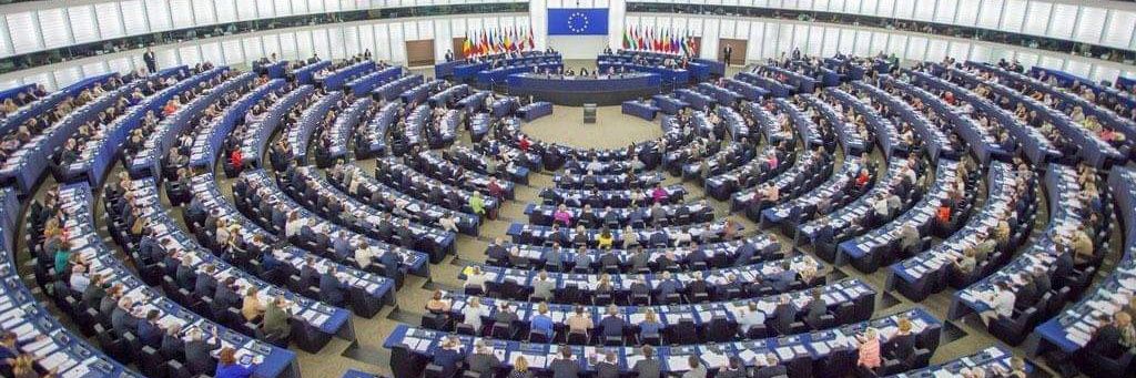 Massimiliano Salini banner