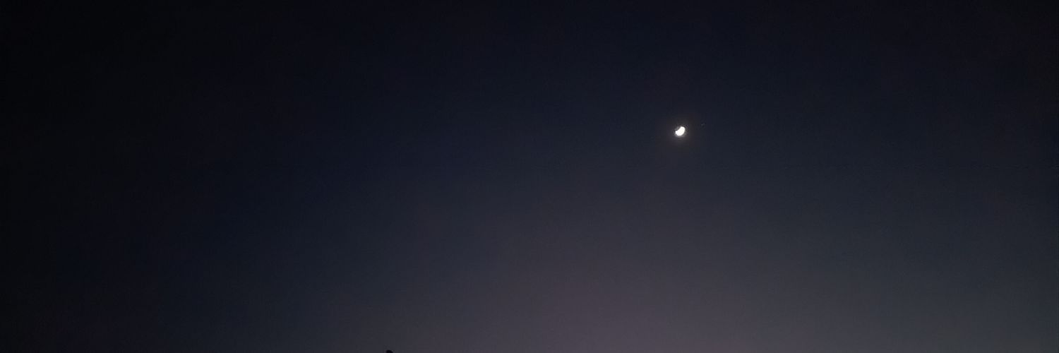 CrystalMarta's profile banner image