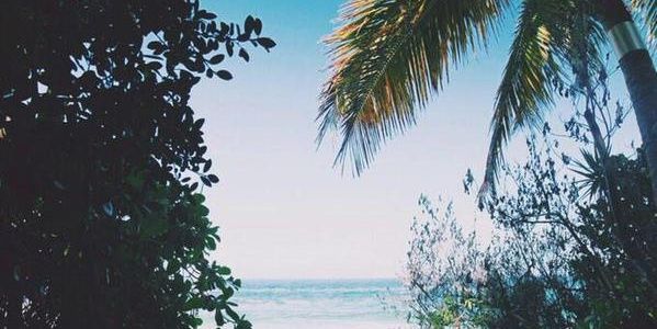 camille_bdt's profile banner image