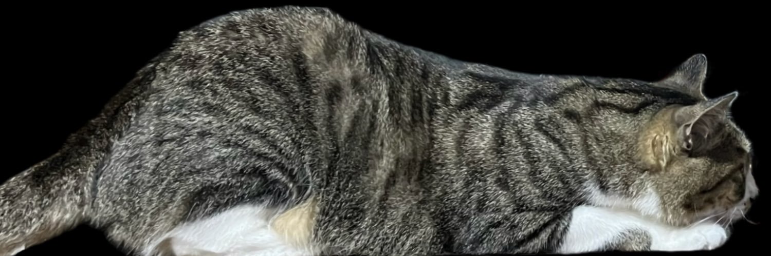 🪬NOSHiRO🪬 banner