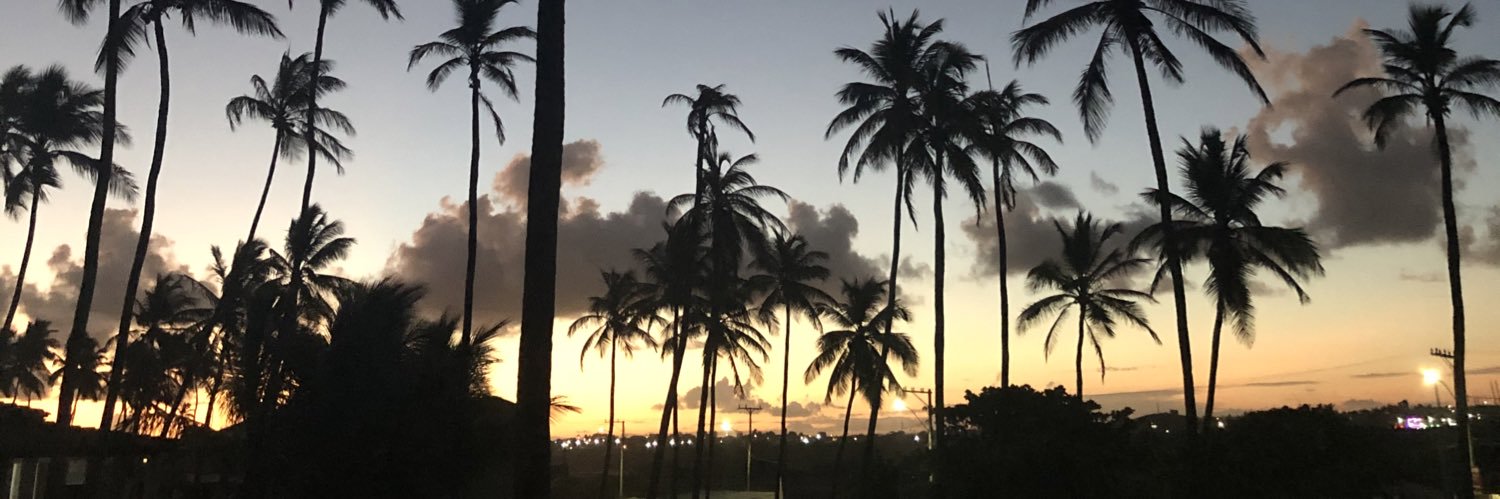 menezesdaniela's profile banner image
