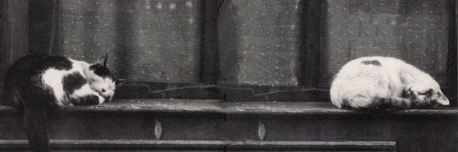antonis kelaidonis's banner