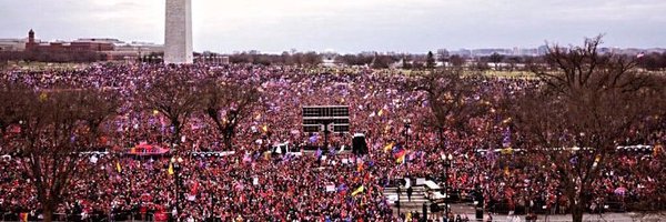 wolfer___ Profile Banner