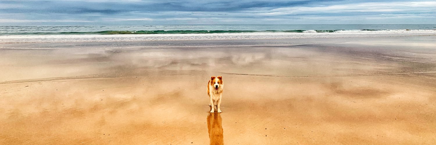 Mandy Squires banner