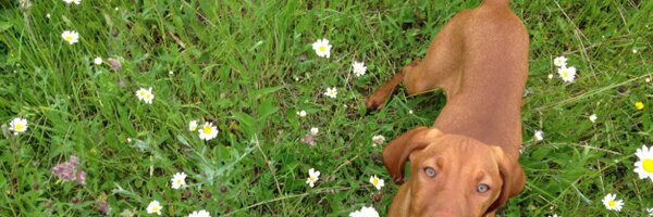 JessHill84 Profile Banner