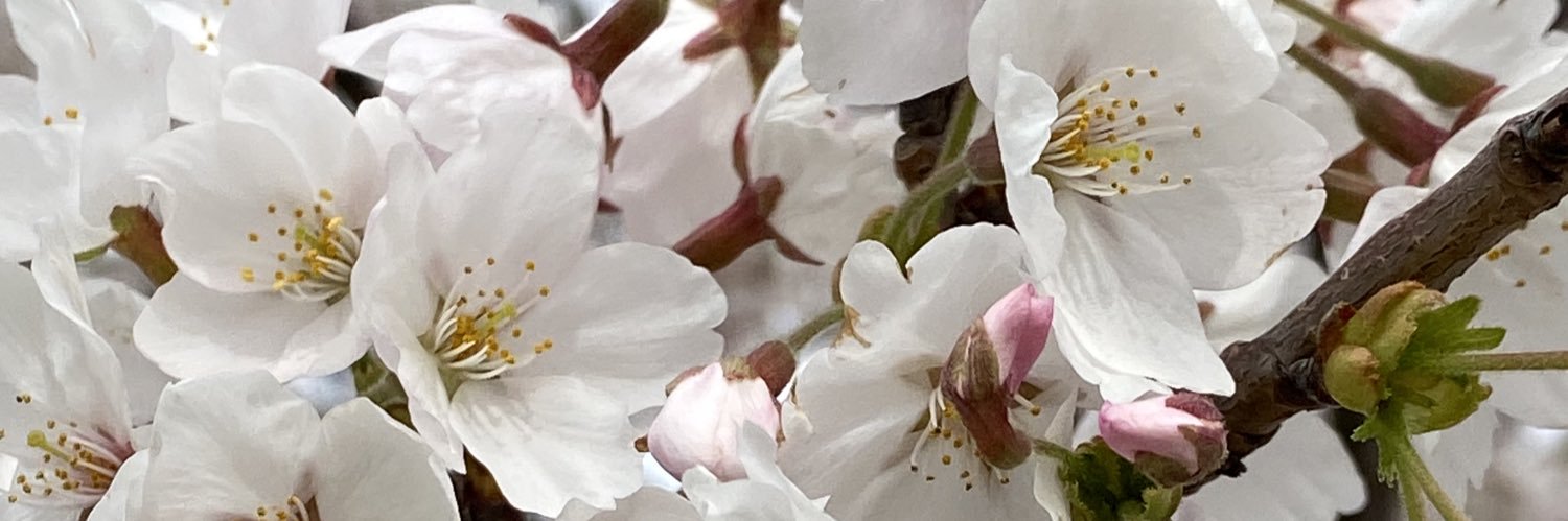 BUN__84's profile banner image