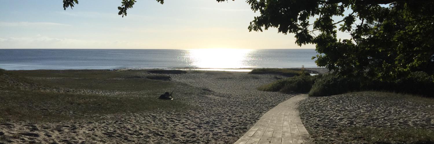 Oskar Odenstorp banner