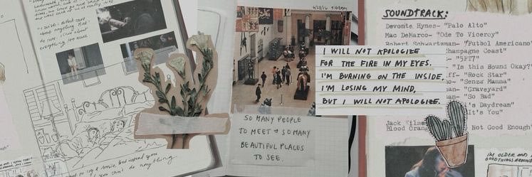 sillyt__'s profile banner image