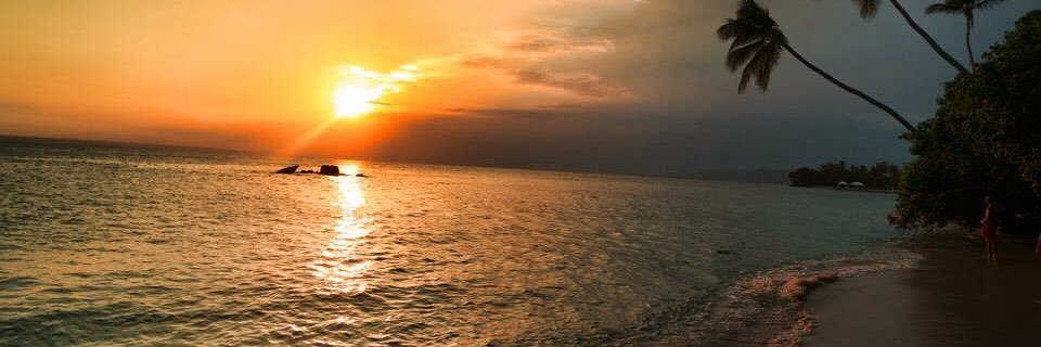 Anaridis Rodriguez banner