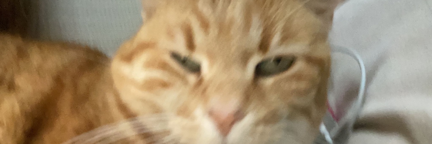 trianarubio's profile banner image