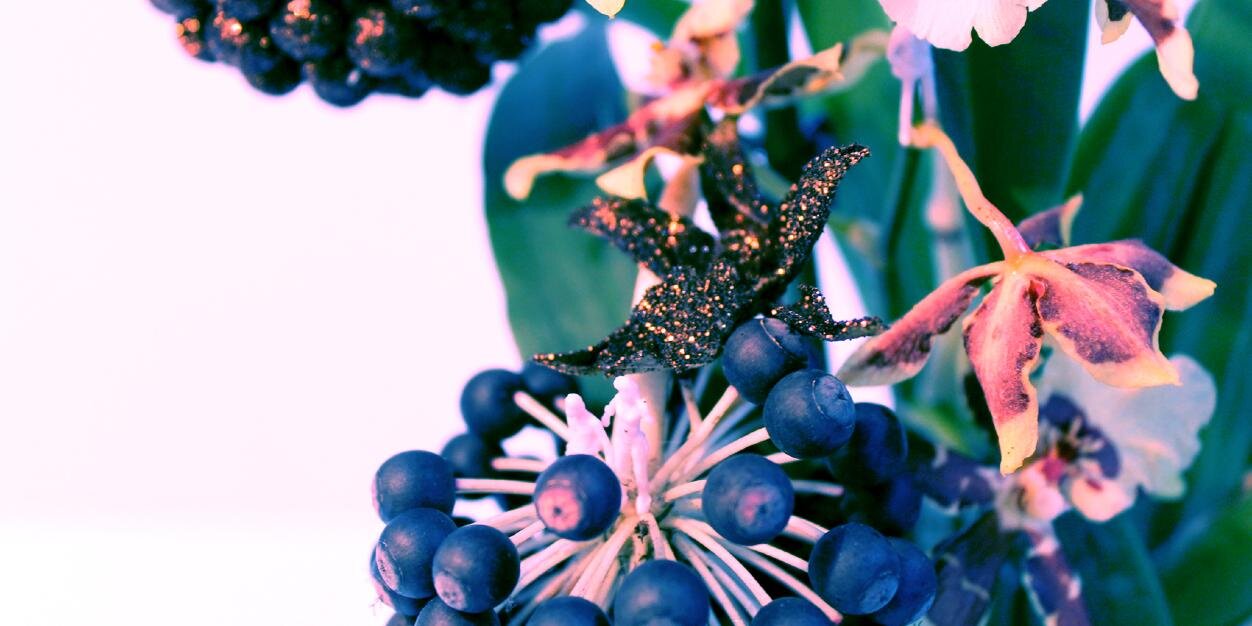 Clarityincolour's profile banner image
