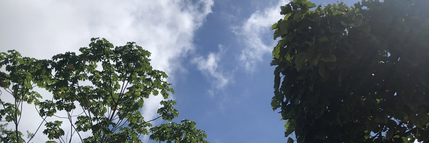samuelayalan's profile banner image