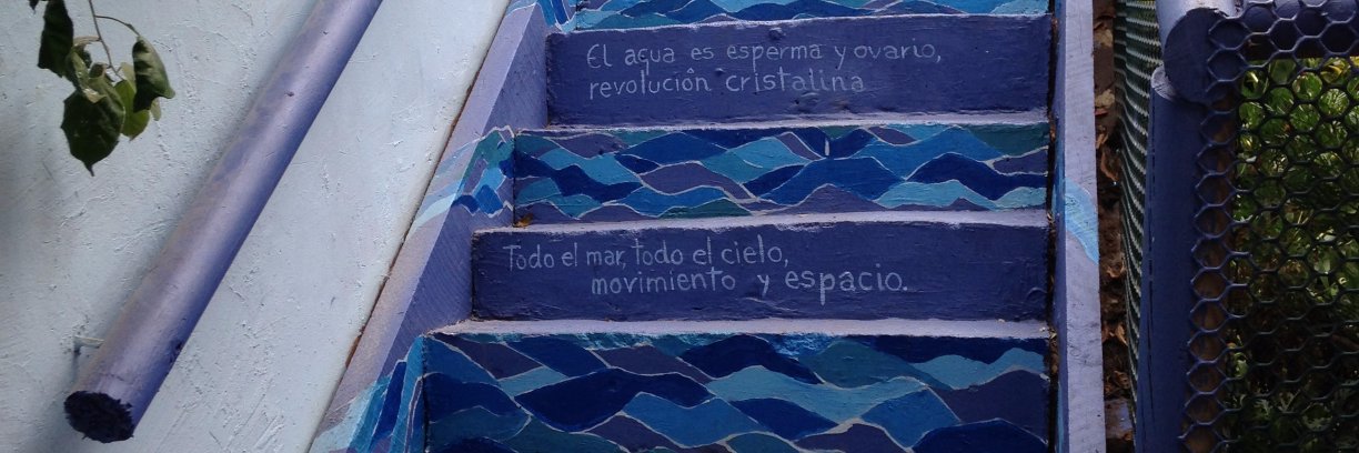 pollovel's profile banner image