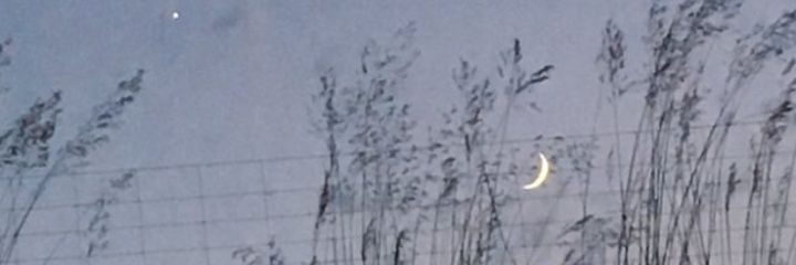 uxuerj's profile banner image