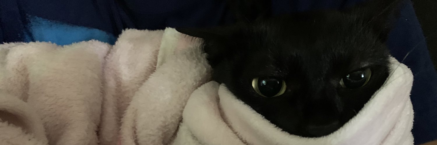 Sharvesini Raju banner