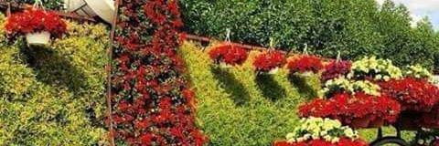 ndumbacarol's profile banner image