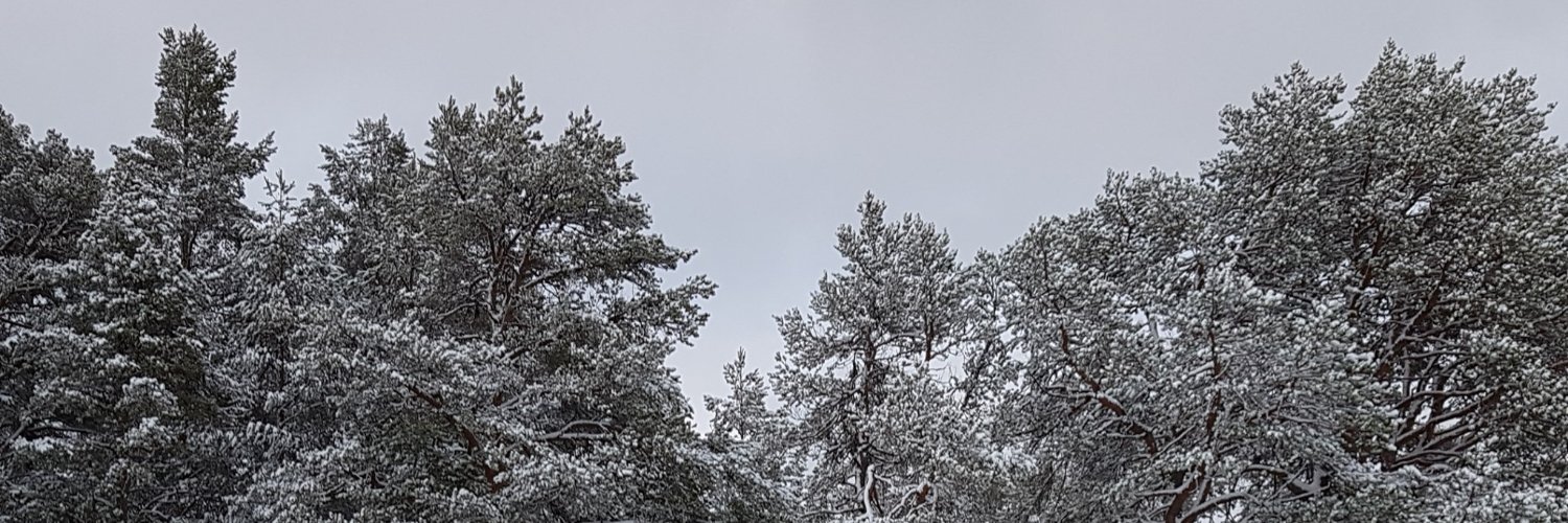 Dr Alina Mia Udall banner