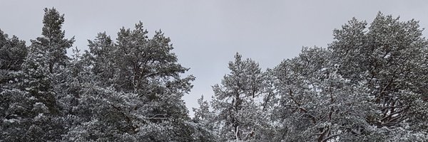 amudall Profile Banner