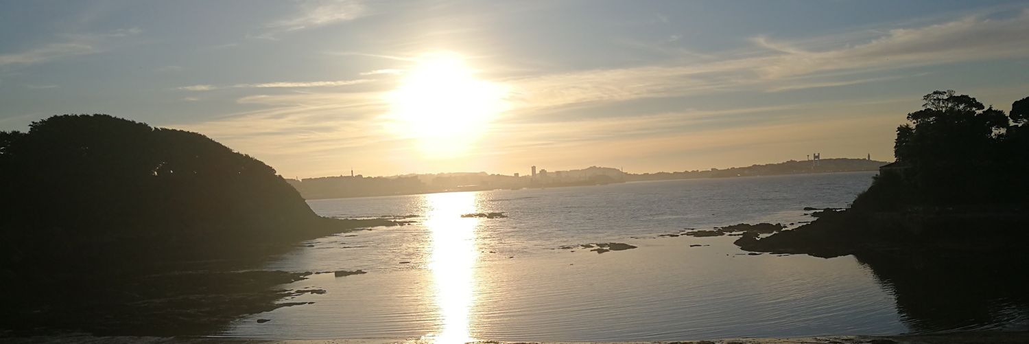 TamaraLob's profile banner image