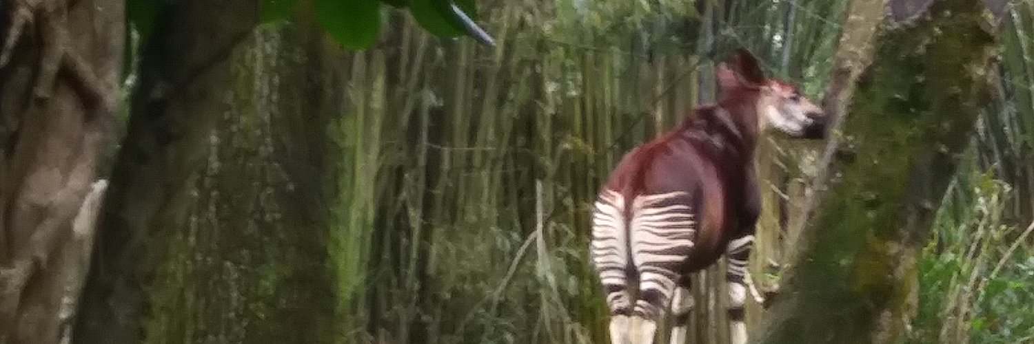 thecircles1's profile banner image